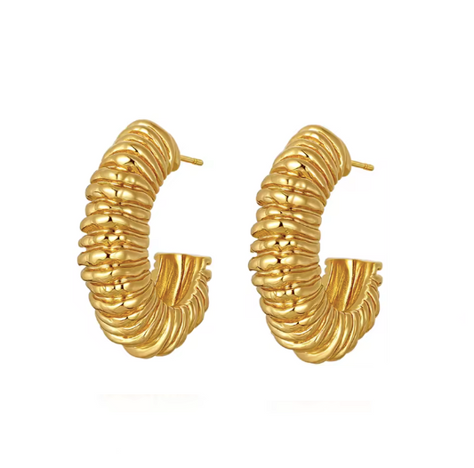Boucles d'oreilles Presidio